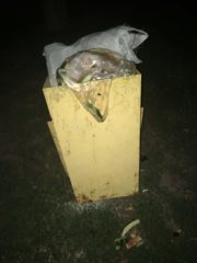 , Чи потрібен контейнерний майданчик в центрі Корсуня?, Надросся Online