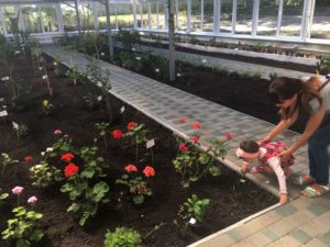 , Екзотичний диво-сад серед міста. Відкрили осучаснену теплицю після майже річної реконструкції, Надросся Online