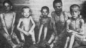 , Василь Пахаренко: «У 1933-му українській нації перебили хребет», Надросся Online