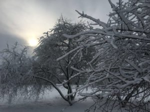 , Чого очікувати від погоди цього тижня, Надросся Online