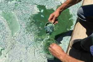 , Перші позитивні зміни в боротьбі за Рось, і чому торік вони були неможливі, Надросся Online