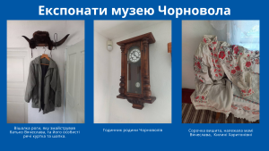, Ілюстраторів закликають підтримати 5 локальних музеїв, Надросся Online